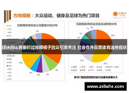 球迷因比赛票价过高掷橘子抗议引发关注 社会各界反思体育消费现状