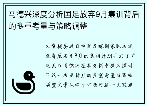 马德兴深度分析国足放弃9月集训背后的多重考量与策略调整
